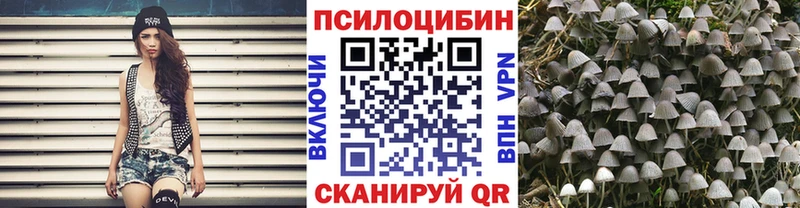 Галлюциногенные грибы мицелий  Петровск-Забайкальский 